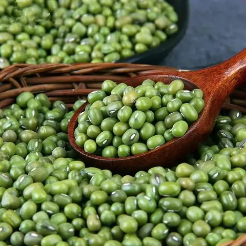 2025 African Green Mung Beans Premium Quality 99% Purity Fresh Harvest Direct Bulk Supply Red Kidney Beans whatsap +255787979235 from Tanzania - Freshdi