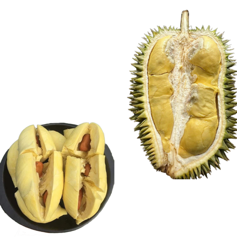 King Durian The New Fresh Durian Ri6 Eat Directly Sweet And Fatty Taste