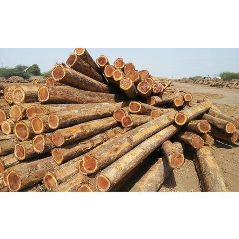 Hard Wood Round Logs