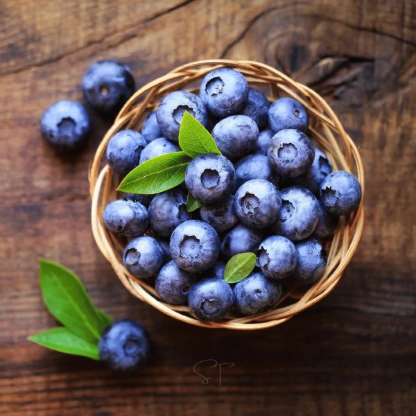 High-quality blueberries from Da Lat