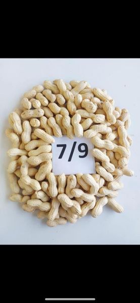 Organic Blanched Peanuts