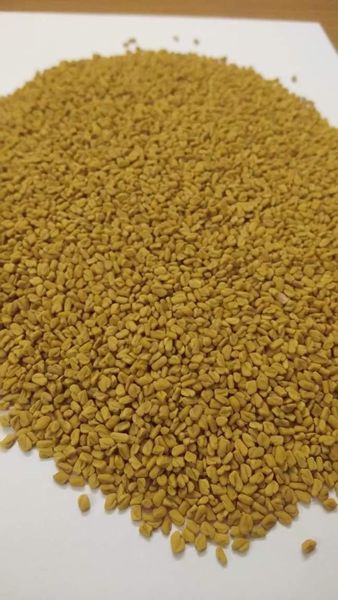 Fenugreek Seeds – Fresh Aroma and Strong Flavor