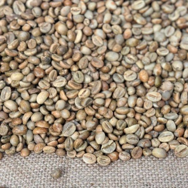 Kopi Robusta Biji Hijau Grade 2