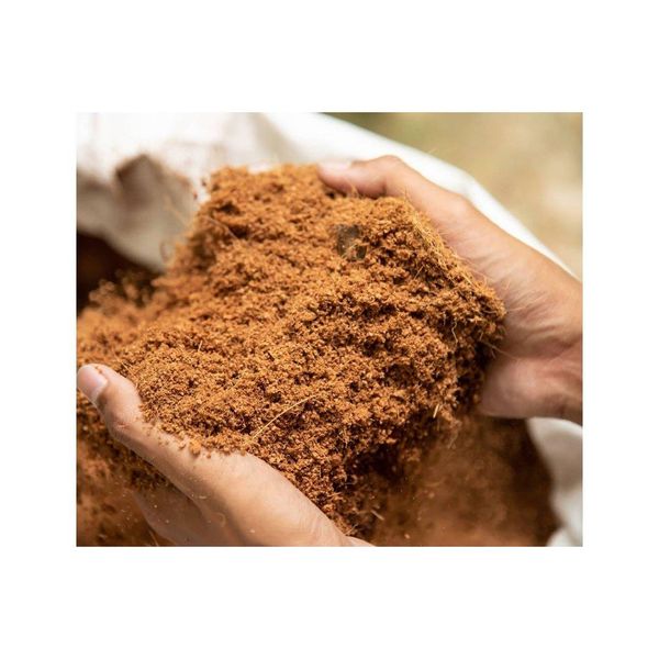 Coconut peat bulk supply