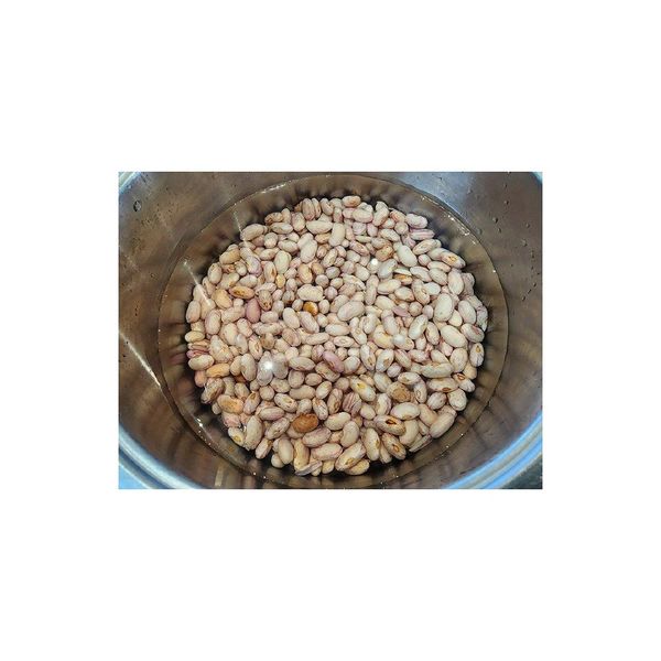 Premium Sugar Beans