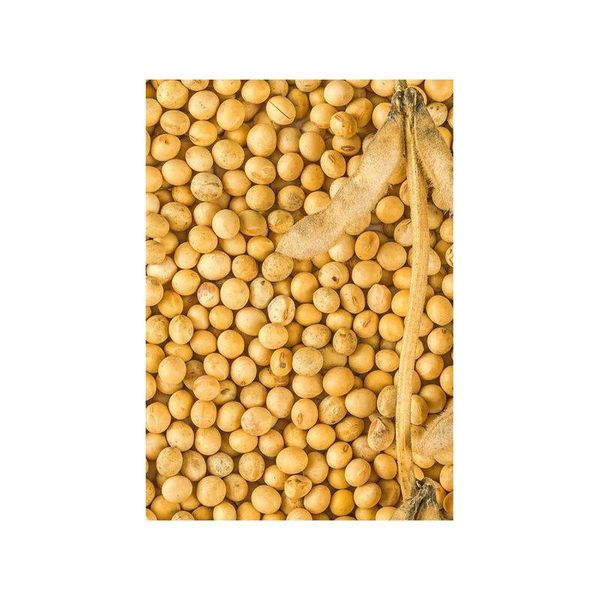 Soybeans in bulk packaging