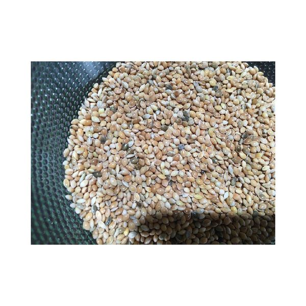 Bulk Yellow Millet - Product 2