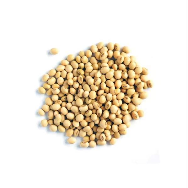 Non-GMO Soybean Product