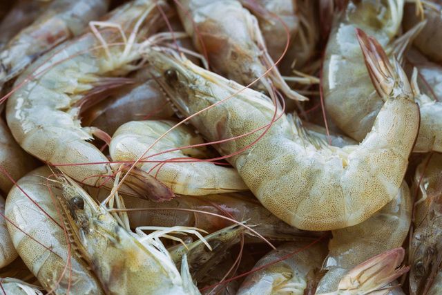 Ecuadorian Farm Raised White Shrimp