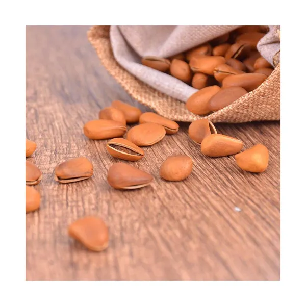 Pecan Nuts