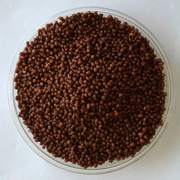 DAP Fertilizer Packaging