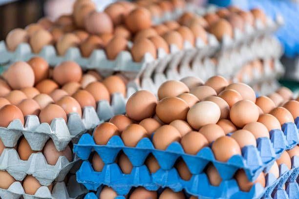 Fresh Chicken Eggs - White Shell