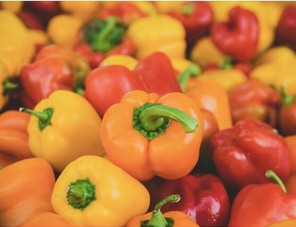 Fresh Sweet Pepper - African Top Grade