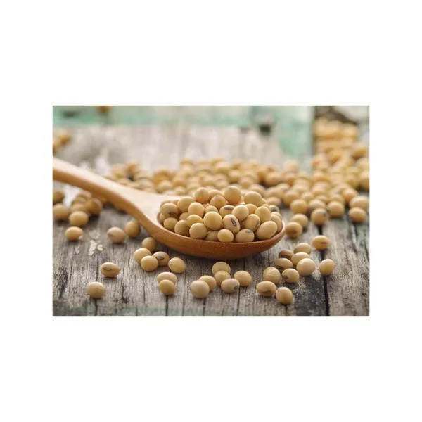 Soybean Product 2
