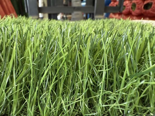 Artificial grass for sports field