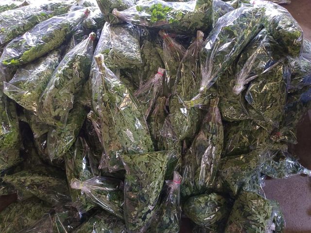 Moringa Leaves in Packaging
