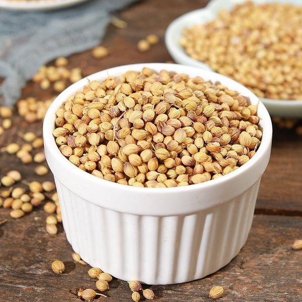 Bulk Dry Coriander Seeds