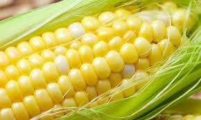 Frozen Corn Kernel
