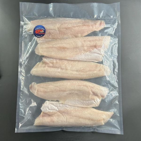 Fresh frozen salmon fillet