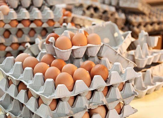 Farm Fresh Brown and White Shell Chicken Table Eggs