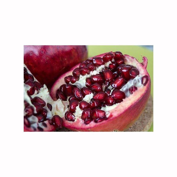 Premium Fresh Pomegranate