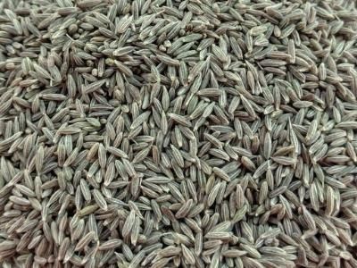 Indian Cumin Seeds