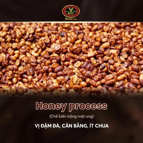 Robusta Coffee Ground