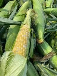 Value-Added Sweet Corn