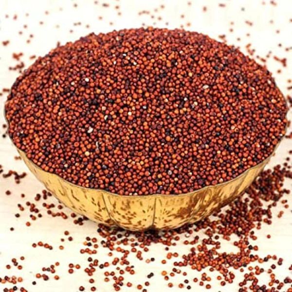 Premium Quality Ragi in Bulk