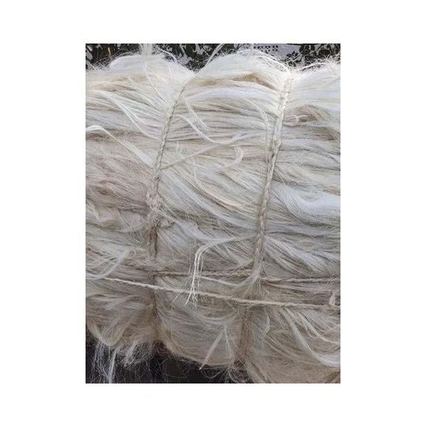 Sisal Fiber in 100-130cm length