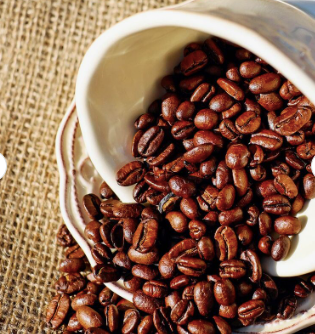 Maragogipe Coffee Beans