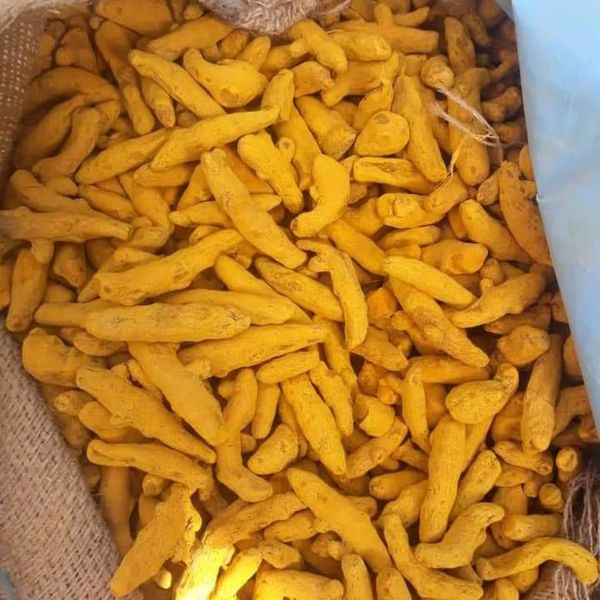 Turmeric Root and Powder in Storage