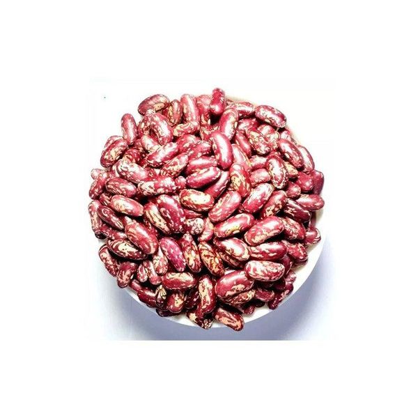Dry Sugar Beans - Natural Color & Texture