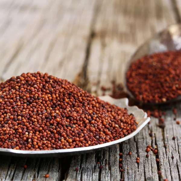 Finger Millet Grain
