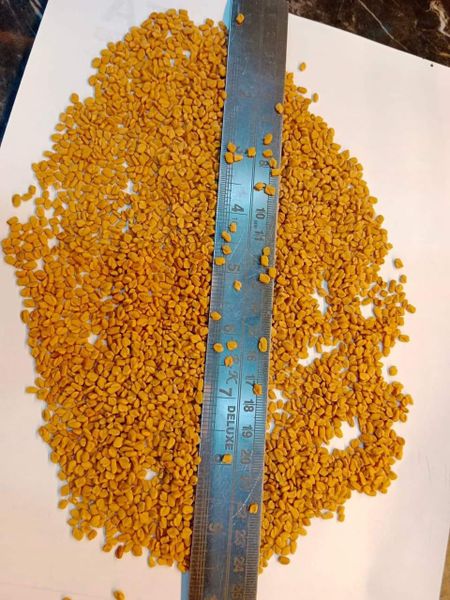 Fenugreek Seeds