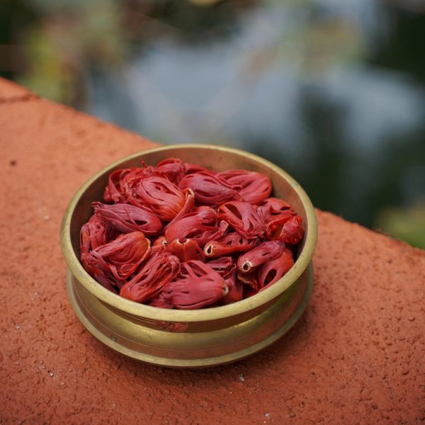 Whole Mace Spice Blade