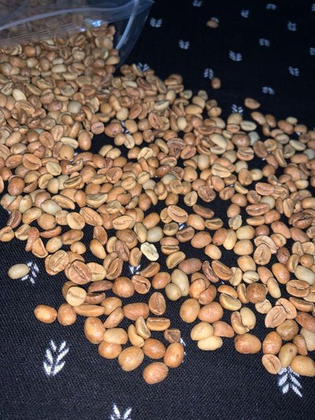 Green Coffee Beans Natural CM