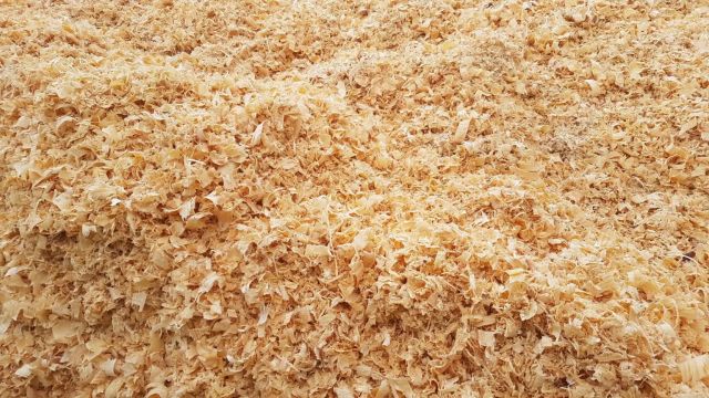 Sawdust used in animal enclosures