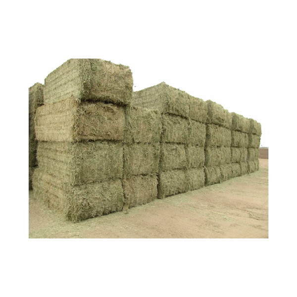 Alfalfa Hay Bale