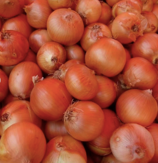 Onion Packaging