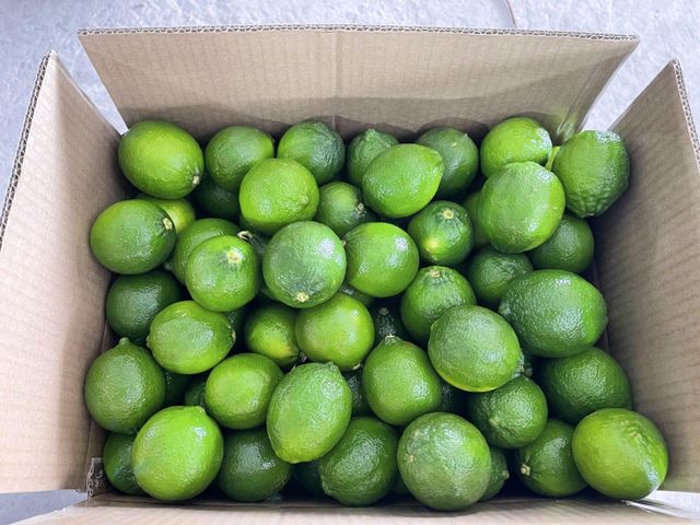 Dried Lime