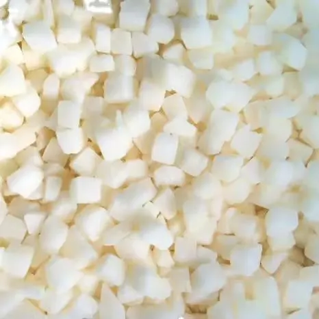 Onion Chopped for Food Manufacturing