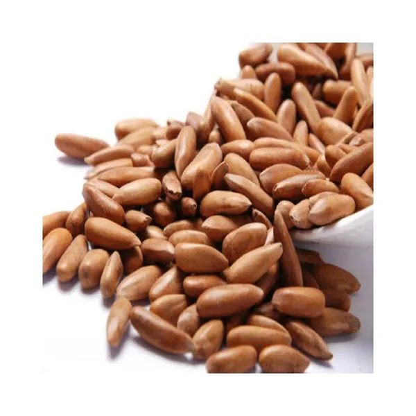 Pecan Nuts