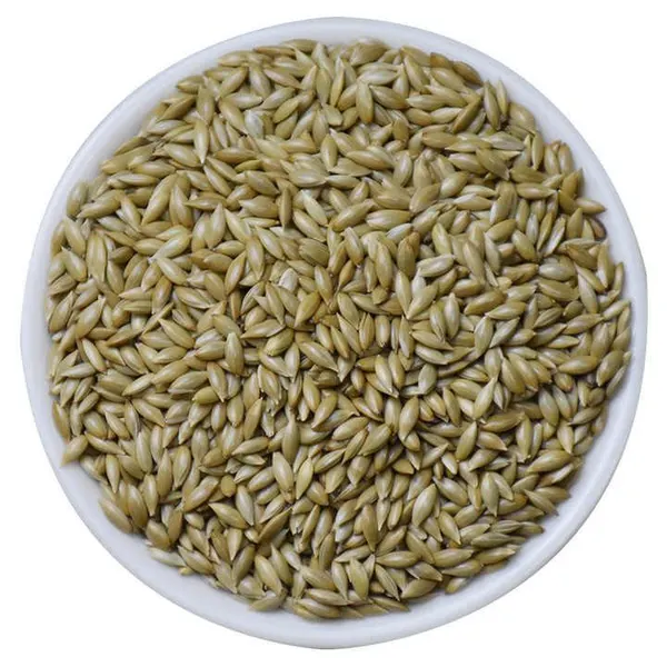 Refined Premium Canary Seed - High Quality, Dust-Free