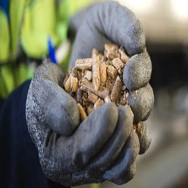 Premium Bio Pellets - Pine & Beech, 15kg Bag