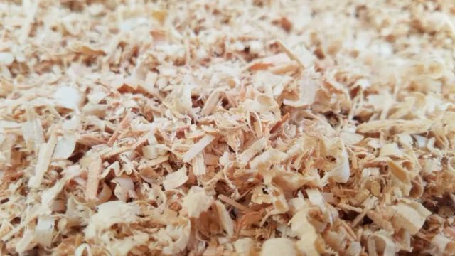 Pine wood shavings in storage container