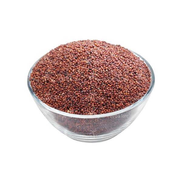 Finger Millet - Storage & Logistics