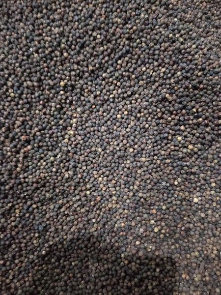 Black Pepper - Premium Quality