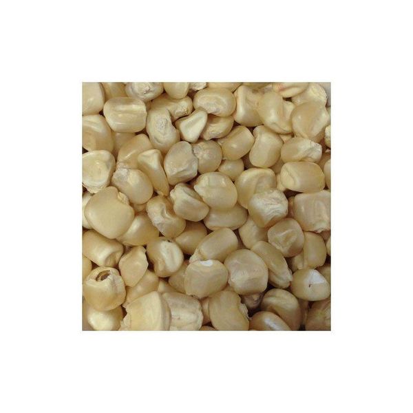 White Corn