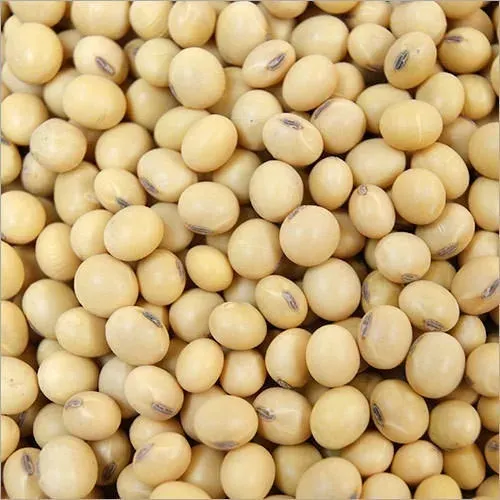 Dry Yellow Soybeans